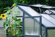 greenhouse