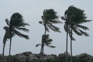 disaster