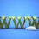 www
