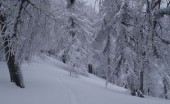 wintervacation