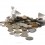 emergencyfund