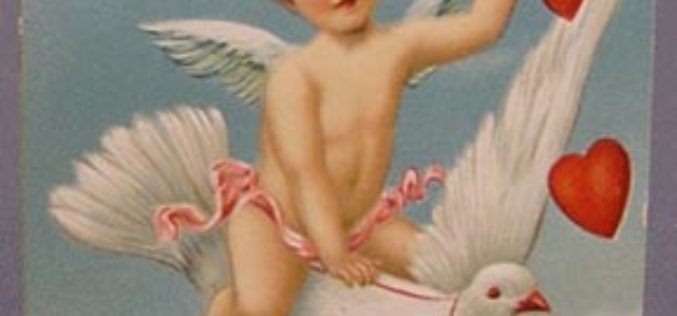 Home Cooked Dinner or Dine Out for Valentine’s Day?