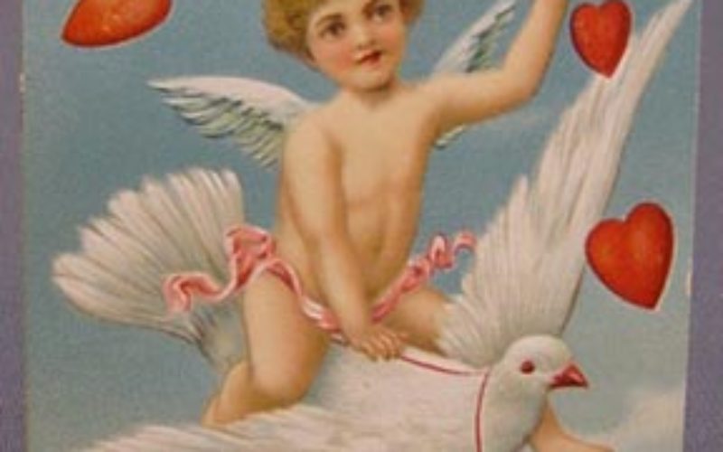 Home Cooked Dinner or Dine Out for Valentine’s Day?