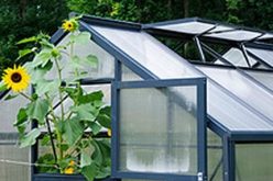 Hobby Greenhouses: A First Time Buyer’s Guide