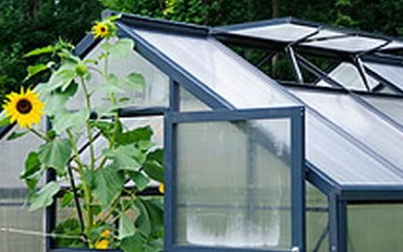 Hobby Greenhouses: A First Time Buyer’s Guide