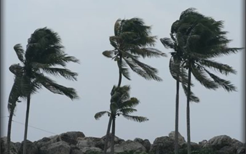 How to Recover From a Natural Disaster