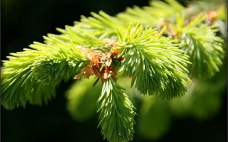 The Secret of Year-End Giving