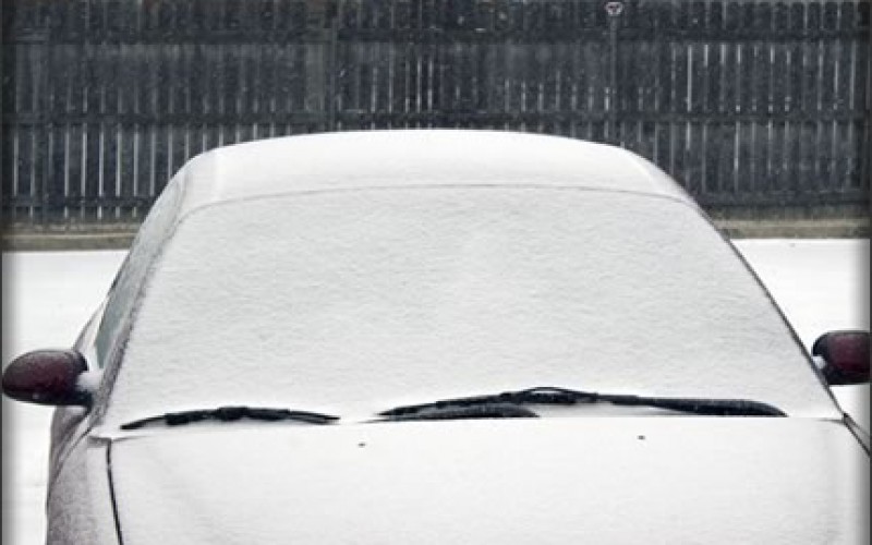 Where to Find Seized or Surplus Cars