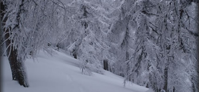 How to Get Ready for a Winter Vacation