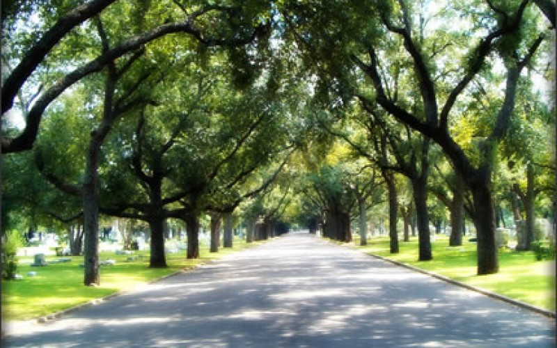 Burial Insurance Has You Covered