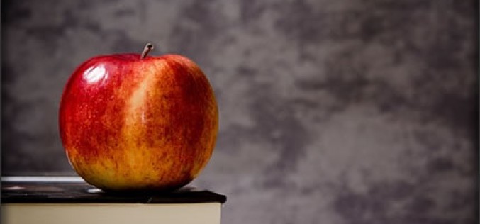 5 Different Education Jobs You Should Consider