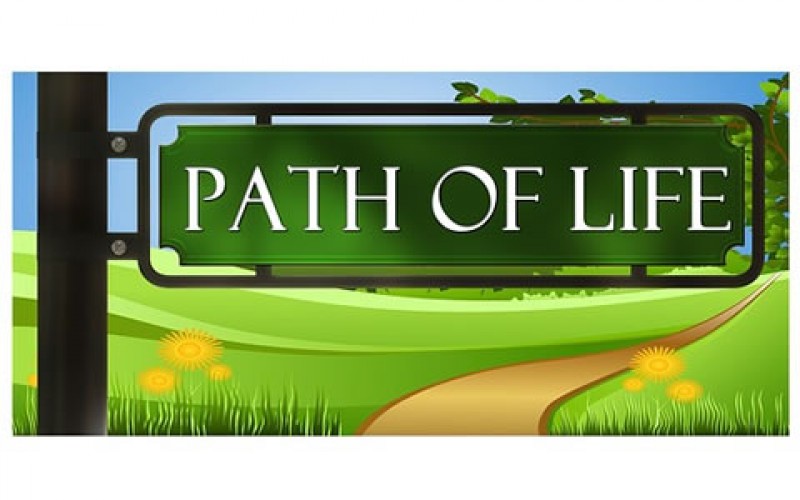 Extra Education: What Career Fields are continuing to Grow?
