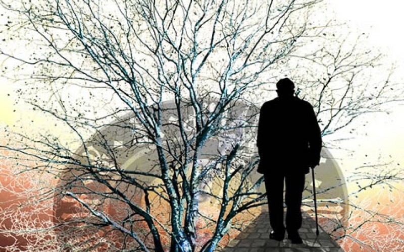 Roth IRA: Retirement Planning Essentials