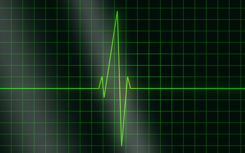 What to Do Before Medical School: 5 Bachelor’s Degrees That Go Best With an MD