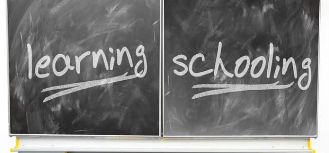 Whether You Should Go Private Or State