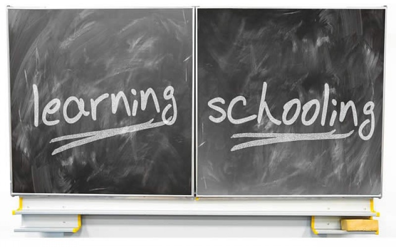 Whether You Should Go Private Or State