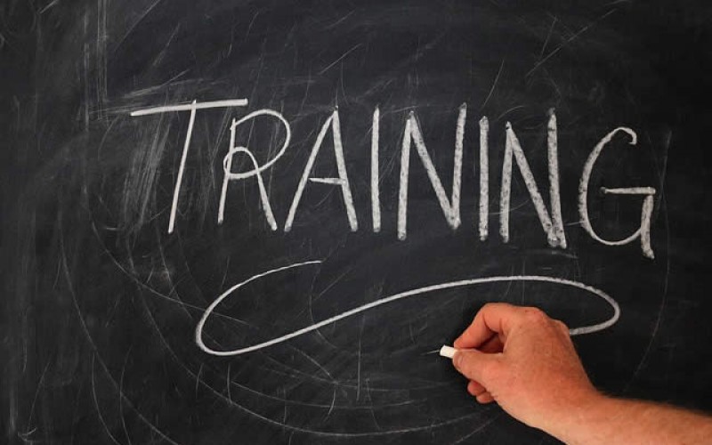Tips for Developing a Successful Career