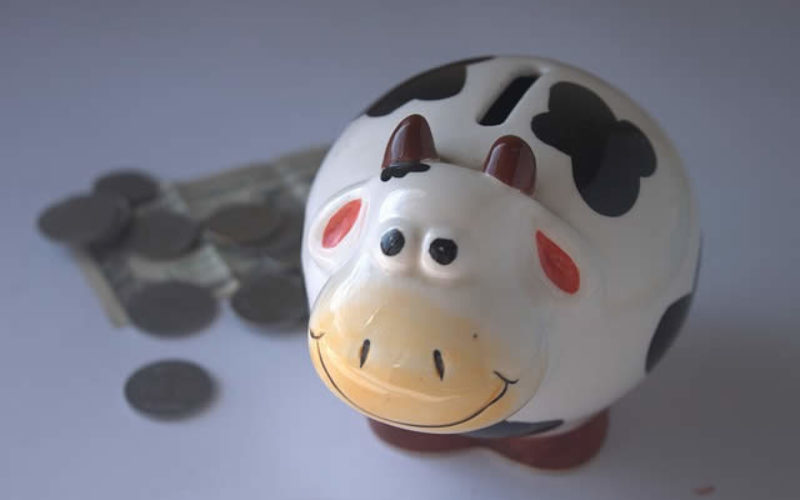 Should You Pay Your Debts Before Saving?