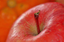 9 Best Ways To Save Money On Your Medical Bills: Part 2