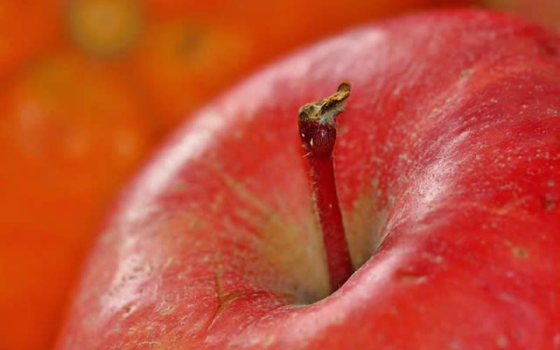 9 Best Ways To Save Money On Your Medical Bills: Part 2