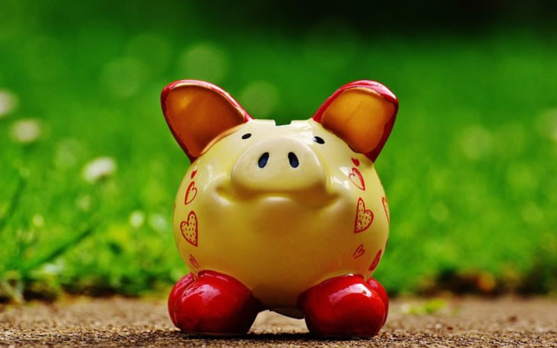 Save the Piggy Bank: Easy Ways the Family Can Save Money