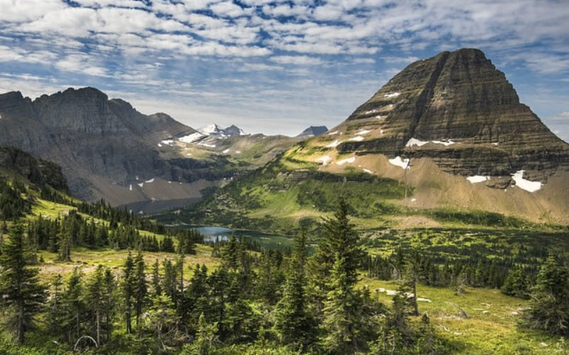 Learn to Identify Some Important Wilderness Survival Foods