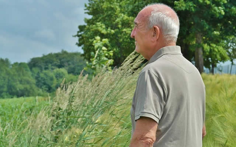 How You Can Help A Senior Veteran Find A Better Quality Of Life