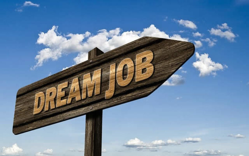 Dream Jobs to Escape the Office 9-5