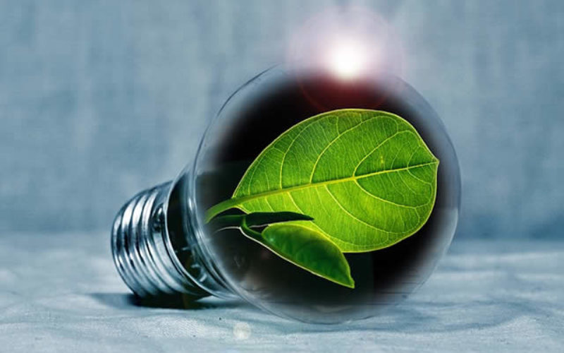 How to Reduce Your Company’s Energy Expenditure