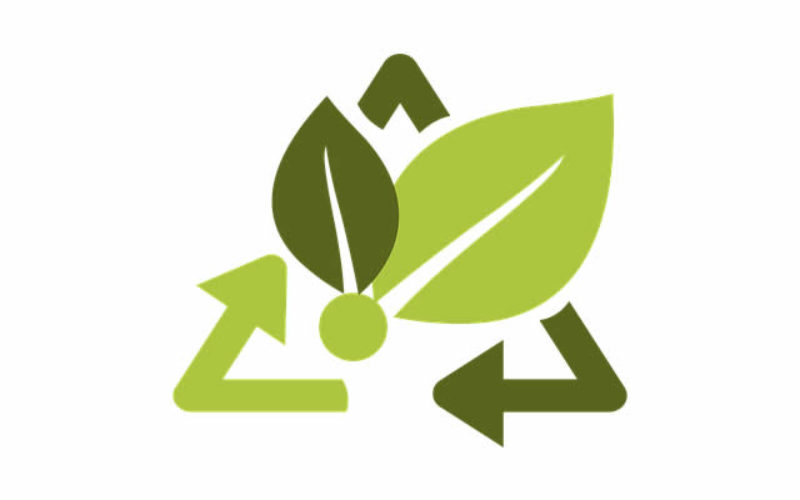 Simple Ways to Make Your Workplace Eco-Friendly