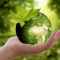 3 Ways to Save Money by Caring for the Environment