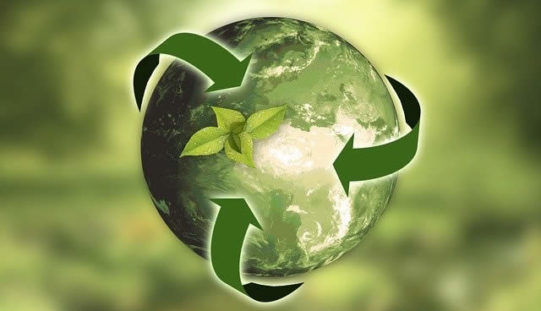 Surprising Things You Can Recycle