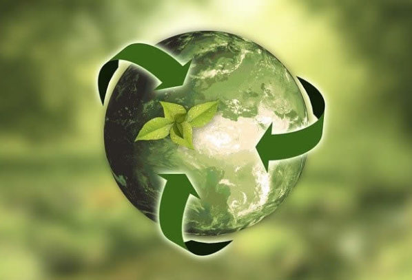 Surprising Things You Can Recycle