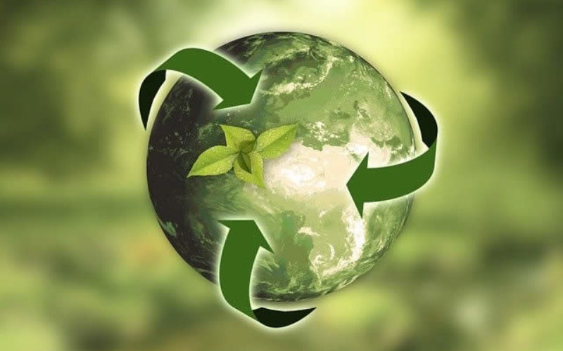 Surprising Things You Can Recycle