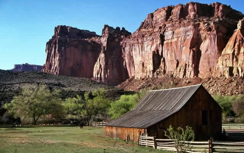 4 Management Tips to Improve the Profitability of Your Ranch