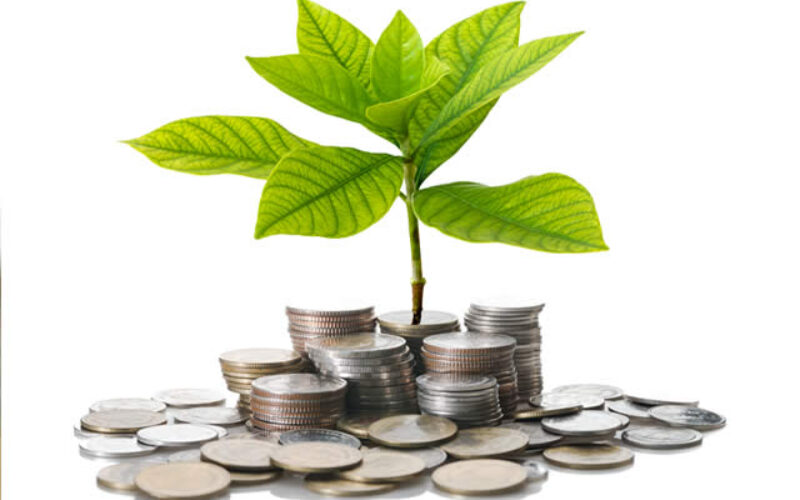 How to Invest Your Money: A Beginner’s Guide