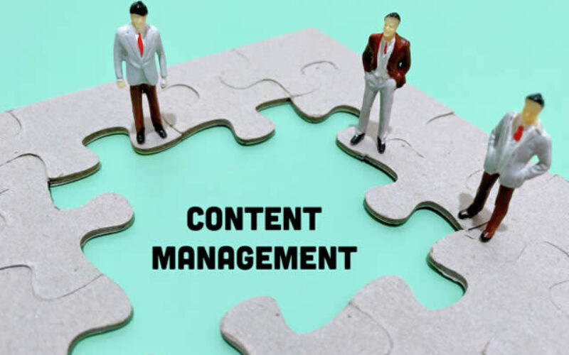 4 Reasons to Hire a Professional Content Marketing Agency (That Other Businesses Don’t Want You to Know)