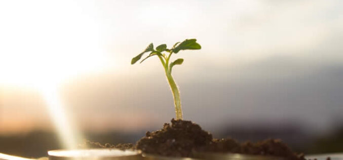 How Modern Technology Can Help You Improve on Investing