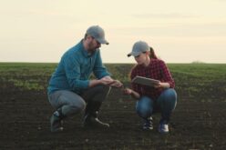 Tips for Getting Your Start in Agriculture