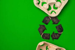 Why Does the Food Service Industry Use Disposable Materials?