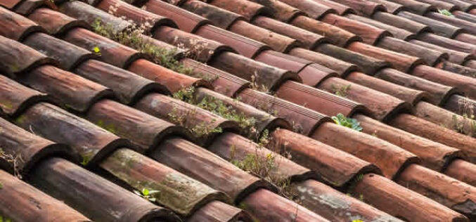 6 Common Roof Issues Every Homeowner Should Keep an Eye Out For