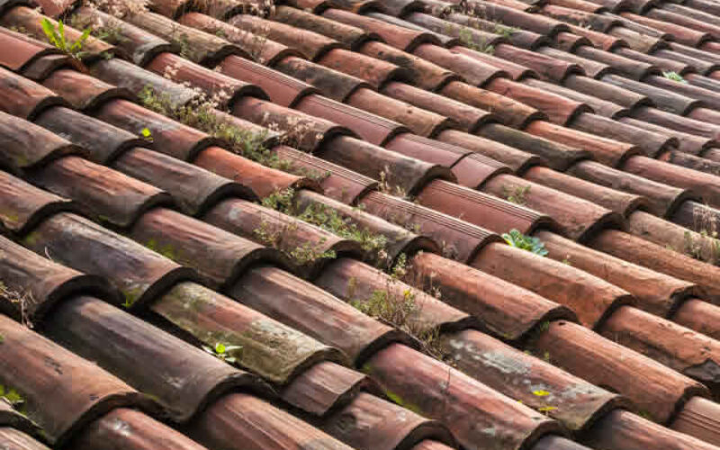 6 Common Roof Issues Every Homeowner Should Keep an Eye Out For
