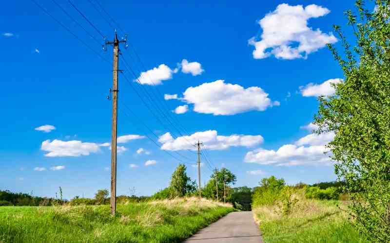 How Material Choice Can Make a Difference in Utility Poles