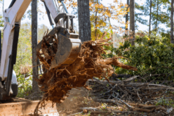 Ways To Enhance Your Land Clearing Operations