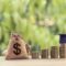 Is It Time To Increase Your College Student’s Budget?