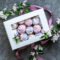 Custom Cupcake Boxes: A Sweet Way to Showcase Your Cupcakes