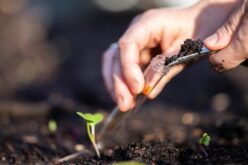 Importance of Monitoring Soil Health on Farms
