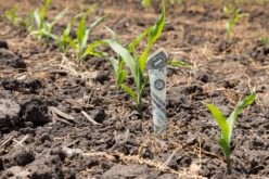 4 Effective Strategies for Managing Farm Debt