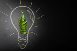 Why Sustainability is More Profitable For Your Business