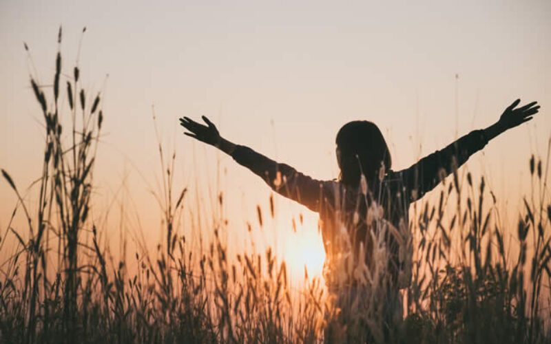 What Makes Life Feel Meaningful? A Guide to Living Fully